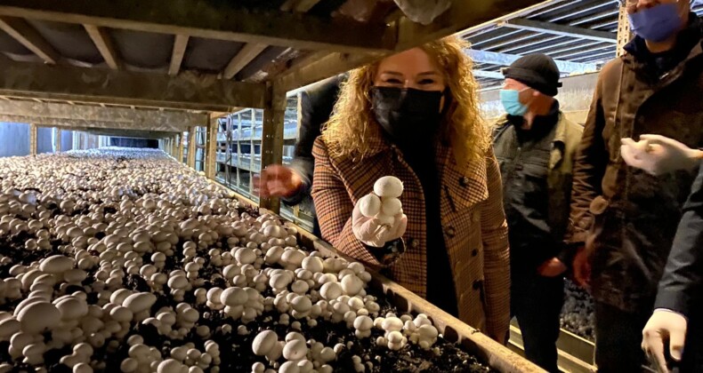 Milletvekili Aydemir: “Üreten, istihdam sağlayan, ülke ekonomisine katkıda bulunan insanımızın yanındayız”