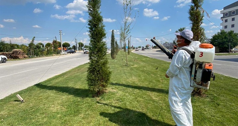 BBB, Mantari hastalığı ile mücadelede yüzde 95 başarılı
