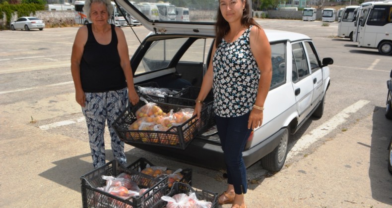 Ayvalık’ta şefkatli ellerden bu kez de ihtiyaç sahiplerine meyve desteği