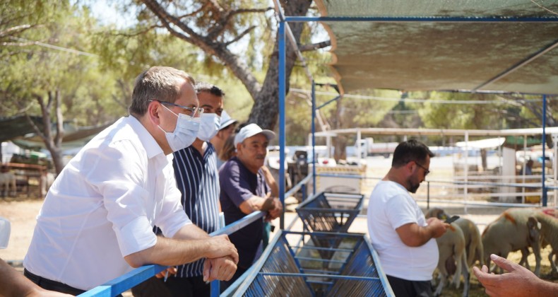 Belediye Başkanı Ergin’den kurban pazarı denetimi