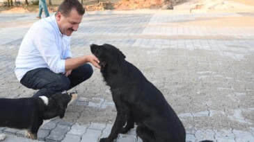 Sahiplenmek sizden Destek Büyükşehir’den