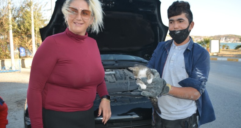Yavru kediyi kurtarmak için lüks aracı parçalamaya kalkıştılar