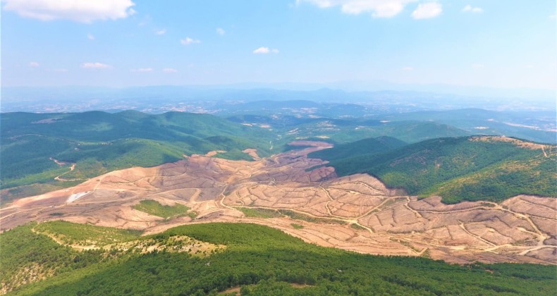 Kaz Dağları’ndan sevindirici haber