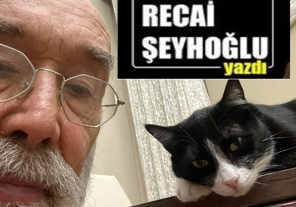 Salaklık Üzerine…