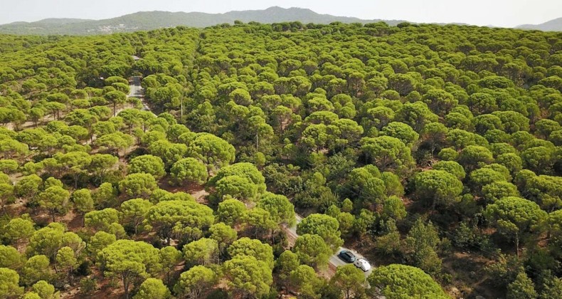 Ayvalık’ta “Taşocağı” davasında hukuk zaferi