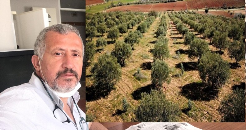 CEMİL TOSUNOĞLU, “ZEYTİNLİKLER İÇİN YÖNETMELİK DEĞİŞİKLİĞİ İPTAL EDİLMELİDİR”