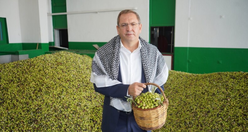 Ayvalık’ta belediye’nin zeytin ağaçlarından 10 bin 500 litre zeytinyağı elde edildi