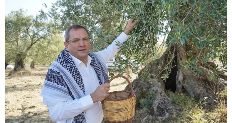 MESUT ERGİN, “ZEYTİNİME DOKUNMA”
