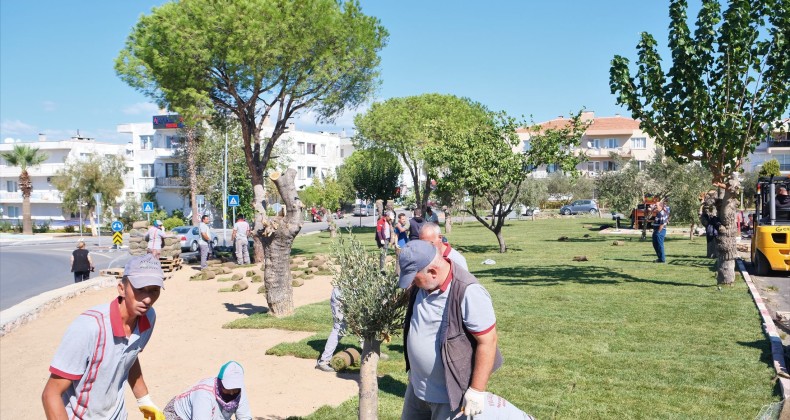 Ayvalık artık çok daha yeşil