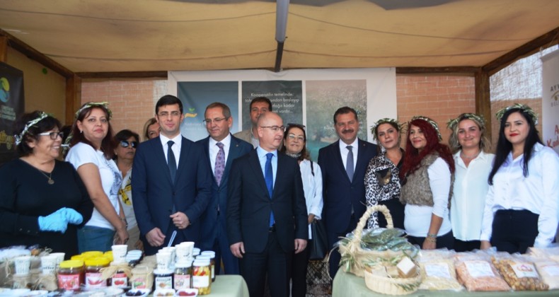 Ayvalık 17.Uluslararası Zeytin Hasat Festivali zeytin galerisi açılışı ve hasat yürüyüşü ile start aldı