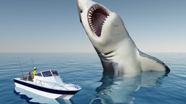 10 METRELİK “JAWS” BALIKÇILARI TEDİRGİN ETTİ