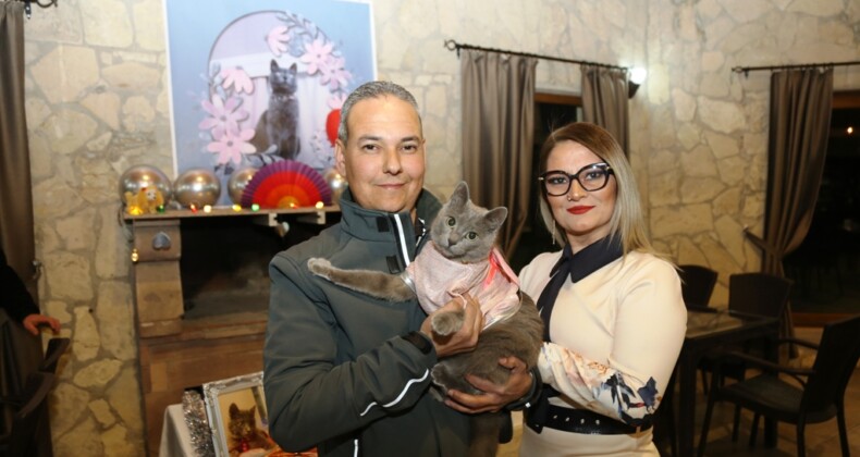 AYVALIK’TA ŞANSLI KEDİ GÜMÜŞ’E 5. DOĞUM GÜNÜ PARTİSİ