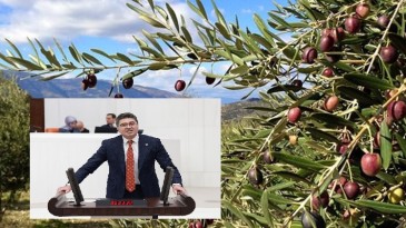 CHP’Lİ AYTEKİN, “BU TEKLİFİ GETİRENLER ZEYTİNLE GEÇİNENLERİN YÜZÜNE NASIL BAKACAK?”