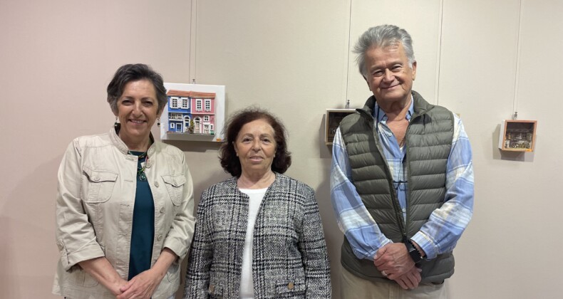 TOYKOÇ ÇİFTİNDEN MİNYATÜR VE RESİM BİR ARADA
