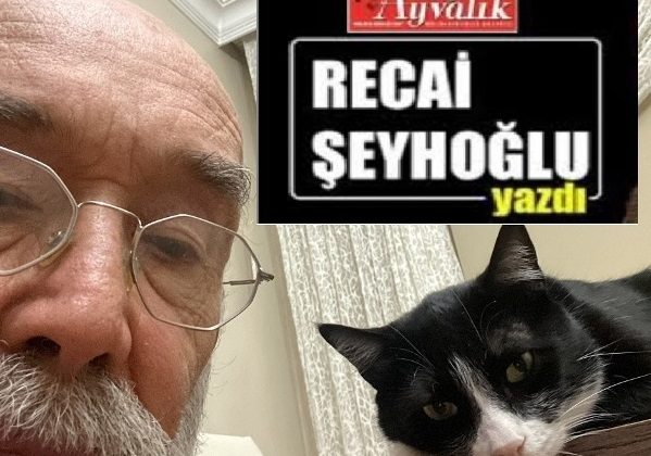 KİMLİK…