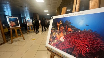 CUNDA MTAL’DEN “AYVALIK ADALARI SAKLI HAZİNELERİ KIRMIZI MERCANLAR”