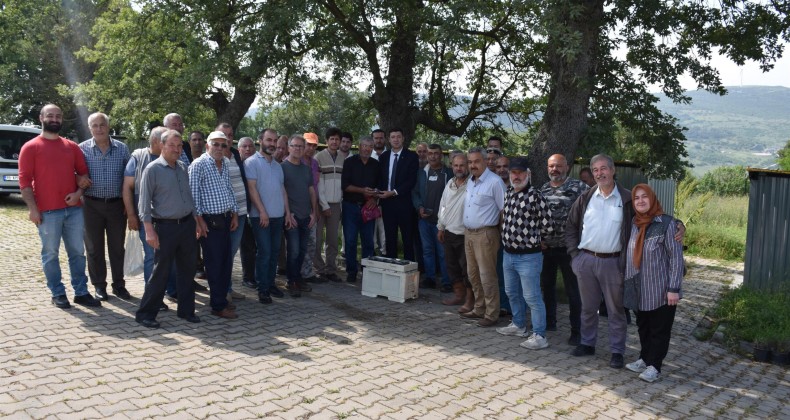 20 BİN KRALİÇE EVLERİNE UÇTU
