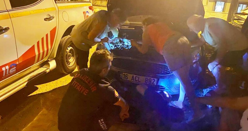 Otomobil kaputunda mahsur kalan kedi için seferber oldular