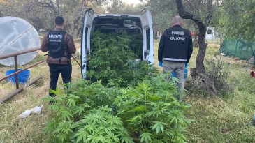 AYVALIK’TA POLİSTEN UYUŞTURUCU OPERASYONU
