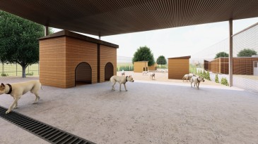 AYVALIK BELEDİYESİ’NDEN SOKAK HAYVANLARINA YENİ VE MODERN BARINAK