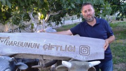 KURBANLIK SATIN ALIRKEN DİKKAT EDİLECEK AYRINTILARI ANLATTI