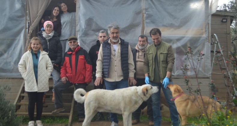 AYVALIK’TA SOKAK HAYVANLARI İÇİN ÖRNEK İMECE