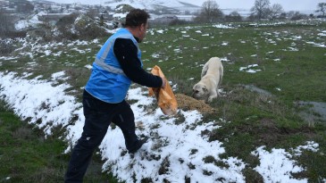 BALIKESİR BÜYÜKŞEHİR HER KOŞULDA CAN DOSTLARIN YANINDA