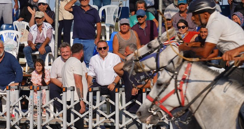 İLK KEZ DÜZENLENEN 1. AYVALIK RAHVAN ATLARI YARIŞLARINA İLGİ YOĞUN OLDU