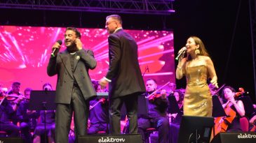 GÖMEÇ’TE 4. ZEYTİN DALI KÜLTÜR SANAT VE BARIŞ FESTİVALİ BAŞLADI