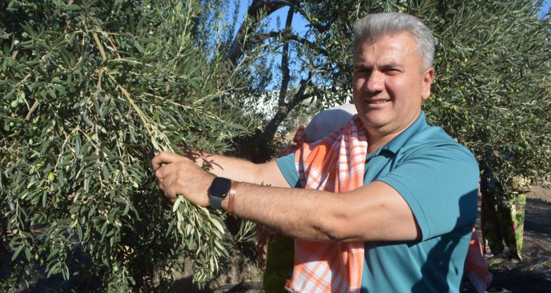 AYVALIK ZEYTİNYAĞINDA AB TESCİLİ İÇİN ÇABALAR SÜRÜYOR