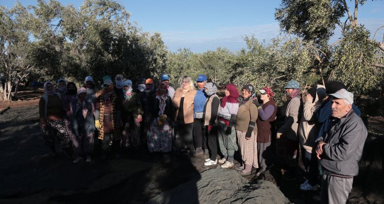 ALTINOVA’DA ZEYTİN HASADI DUA VE HAYIR YEMEKLERİYLE BAŞLADI