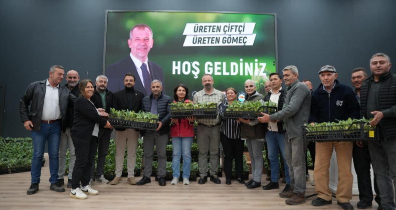 GÖMEÇ’TE 50 BİN ENGİNAR FİDESİ ÜRETİCİYE DAĞITILDI