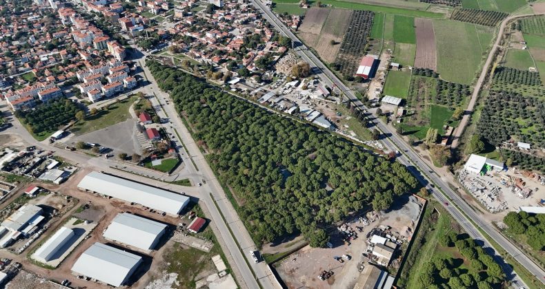 ALTINOVA MESİRE ALANI HİZMETE AÇILDI