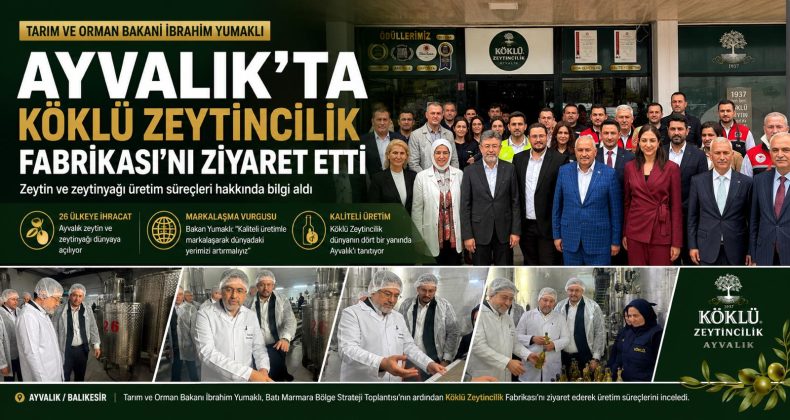 BAKAN YUMAKLI AYVALIK’TA KÖKLÜ ZEYTİNCİLİK ZİYARET ETTİ